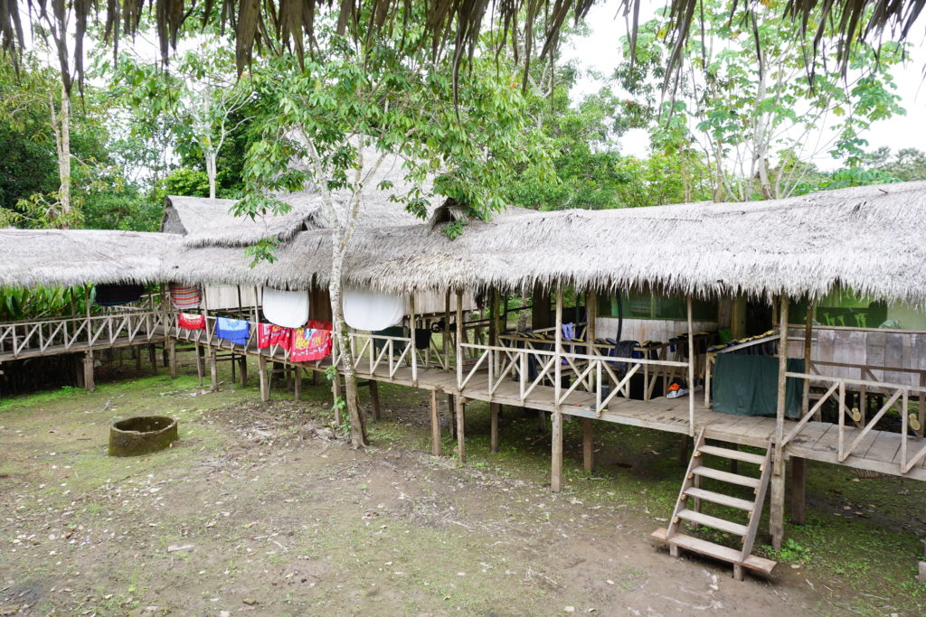 libertad amazon jungle