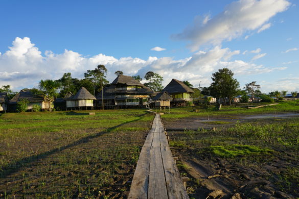 libertad jungle lodge amazon