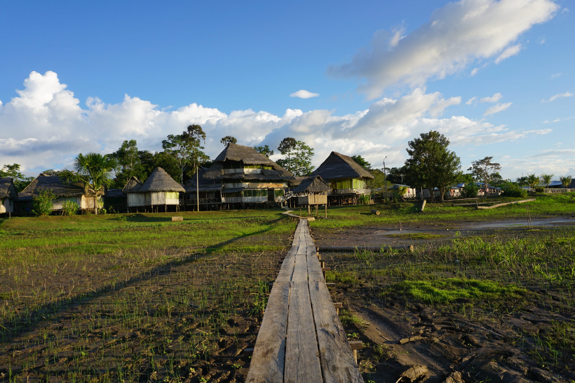 Libertad Jungle Lodge: Peruvian Amazon Rainforest experience – Janice's ...