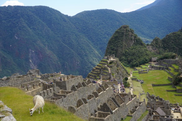 machu picchu