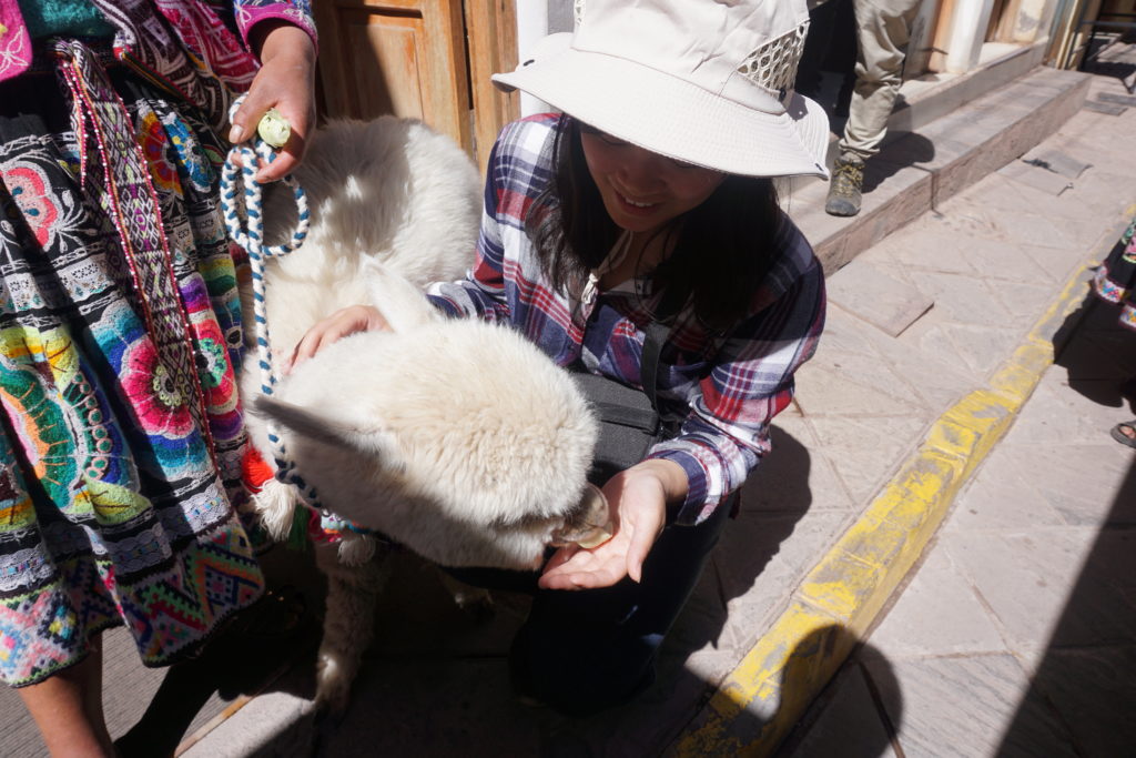 pisac market peru