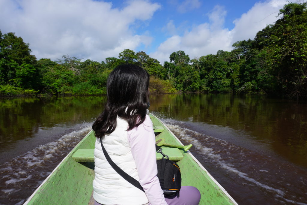 amazon jungle amazon rainforest iquitos peru